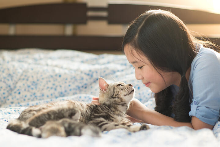 IQI Cares helping stray cats